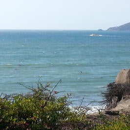 Shell Beach view from The Cliffs Shell Beach view from The Cliffs